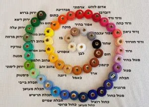 ⁦חוט רקמה vog⁩ – תמונה ⁦2⁩