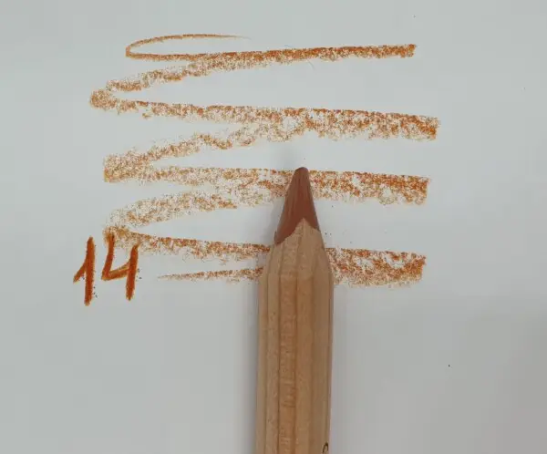 Variation picture for חום צהבהב 14