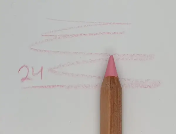Variation picture for ורוד 24