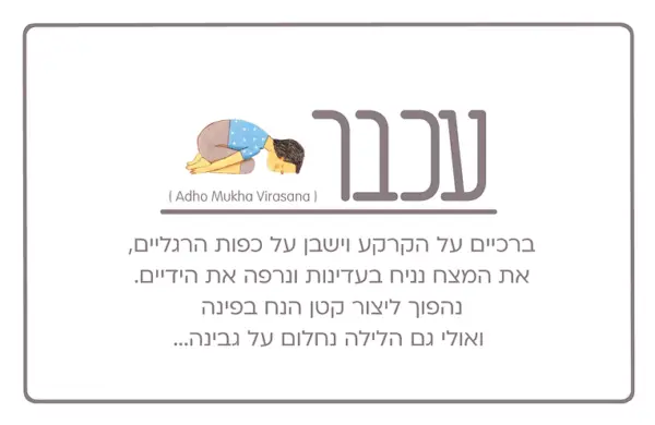 ⁦יוגי-קלפי יוגה⁩ – תמונה ⁦7⁩